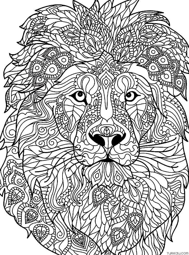 10 Spiderman Coloring Pages Monday Mandala Bratz Coloring