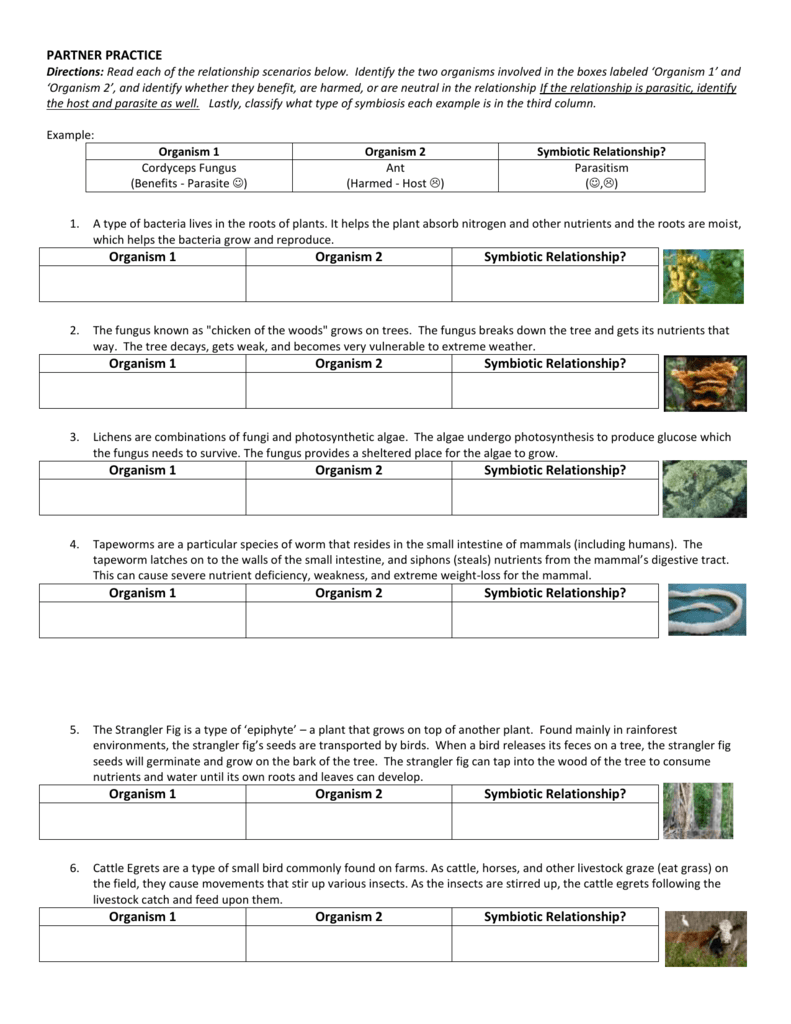 10 Symbiosis Worksheet Answer Key Worksheets Decoomo