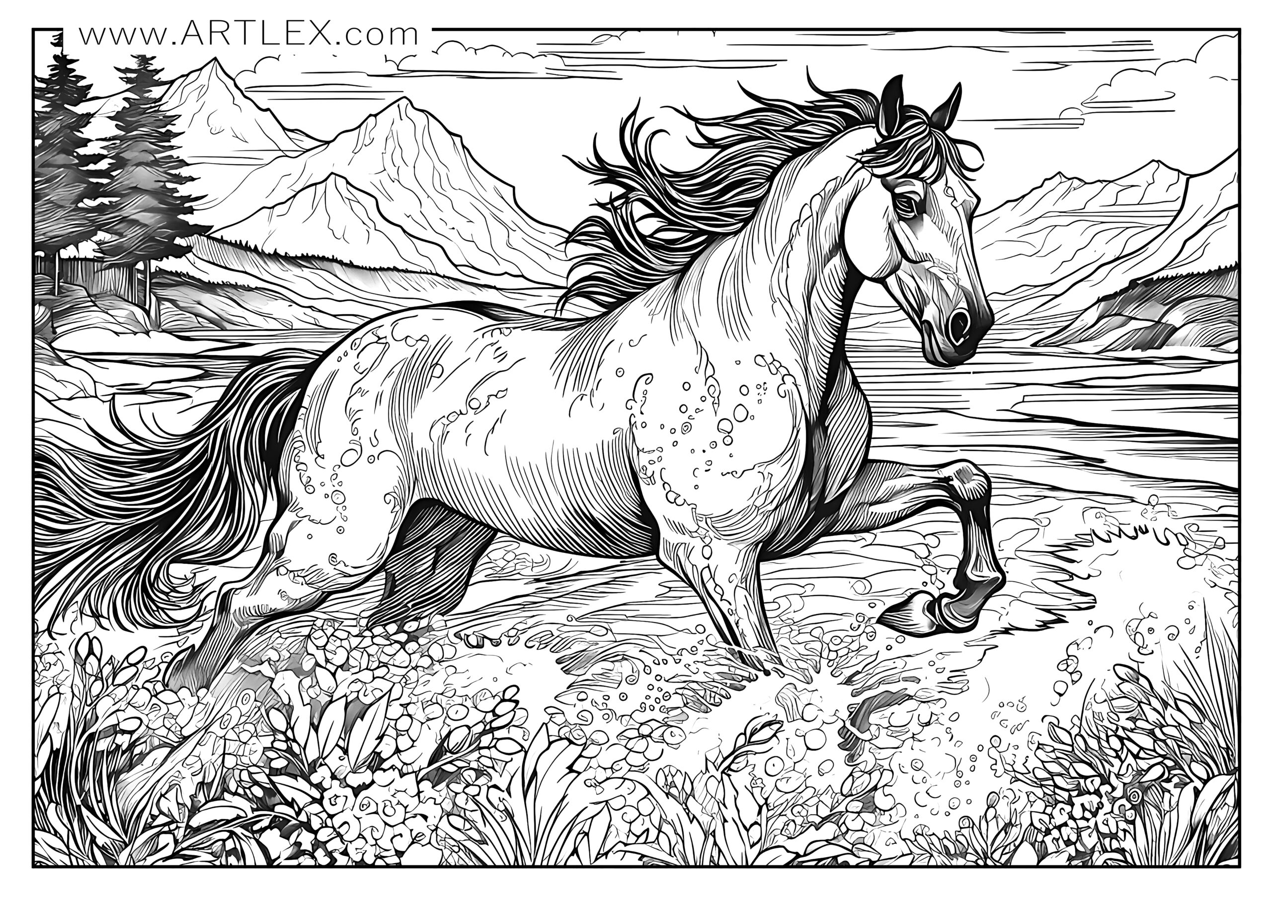 Free Coloring Pages Of Horses
