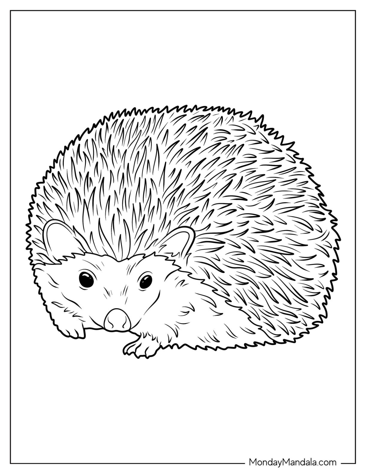 20 Hedgehog Coloring Pages Free PDF Printables 