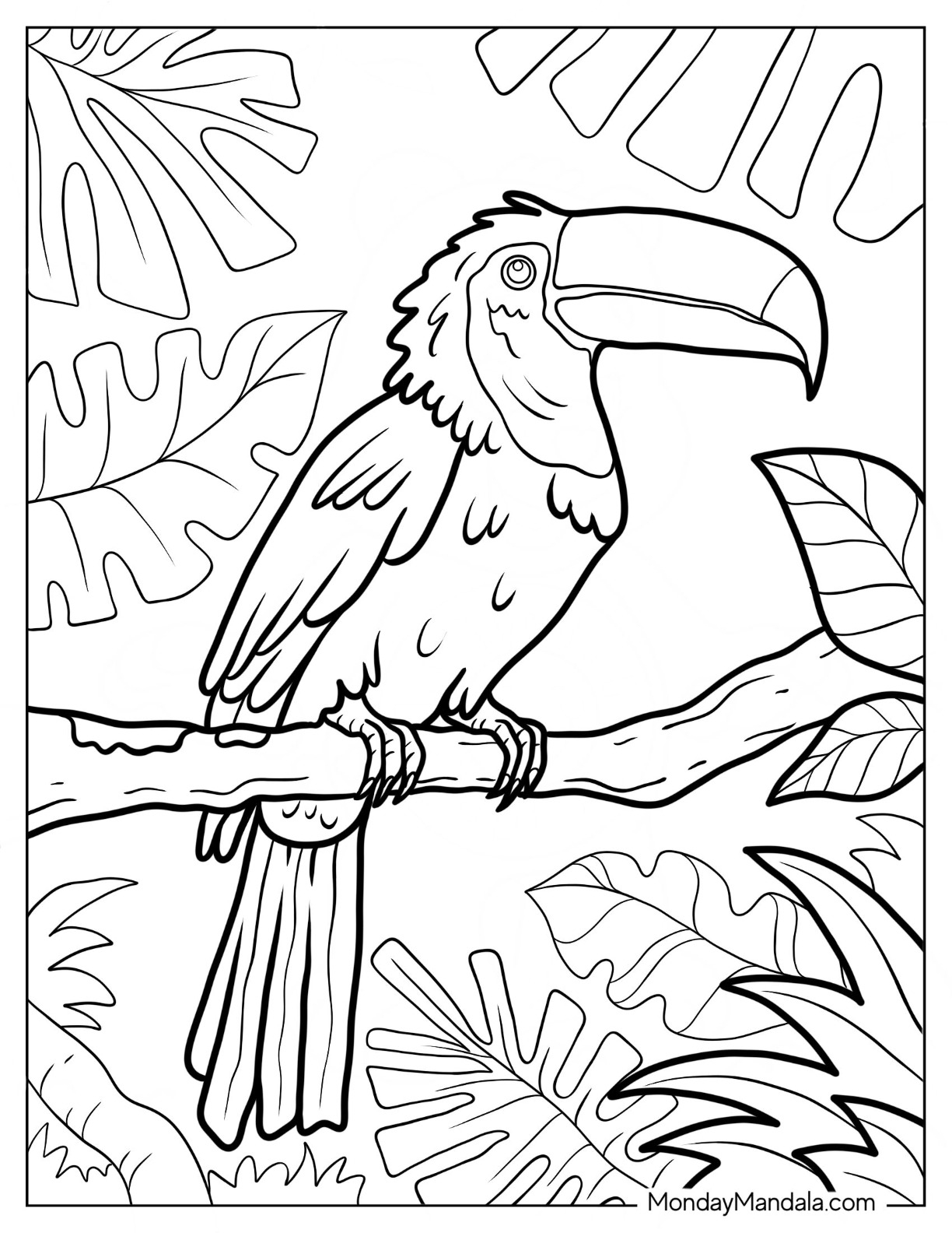 printable pictures of rainforest animals