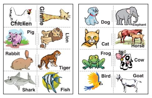 24 Animal Fact Cards For Kids Ideas In 2021 Animalkingdomsky