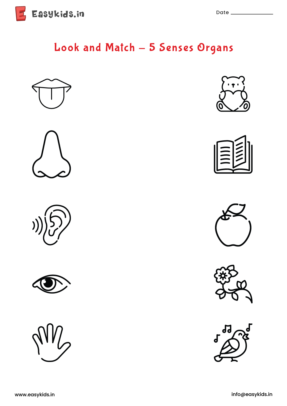 5 Senses Organs Look And Match Worksheet Worksheets Library