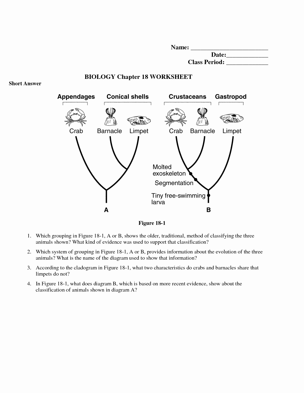 biological classification worksheet