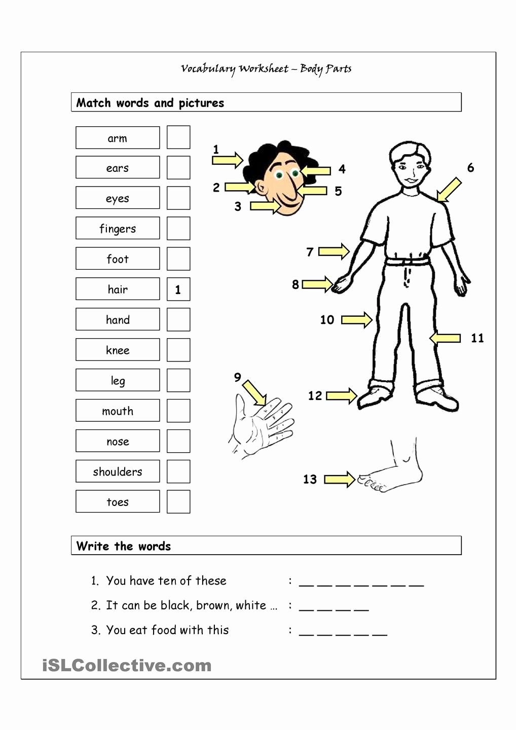 spanish parts of the body worksheet
