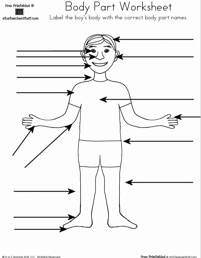 worksheet body parts in spanish