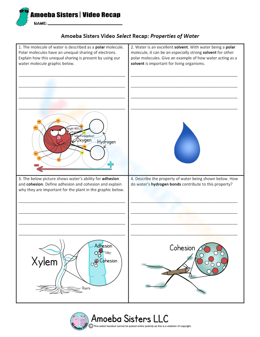 50 Free Printable Properties Of Water Worksheet Collection Worksheets 