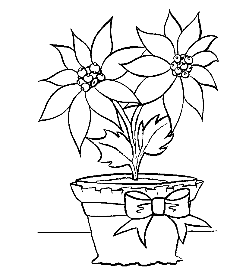 52 Flower Pot Coloring Pages ColoringPagesOnly