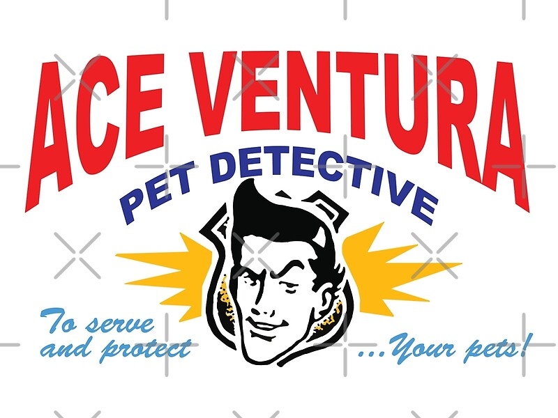 56 ACE VENTURA BUSINESS CARD PRINTABLE BusinessCard2