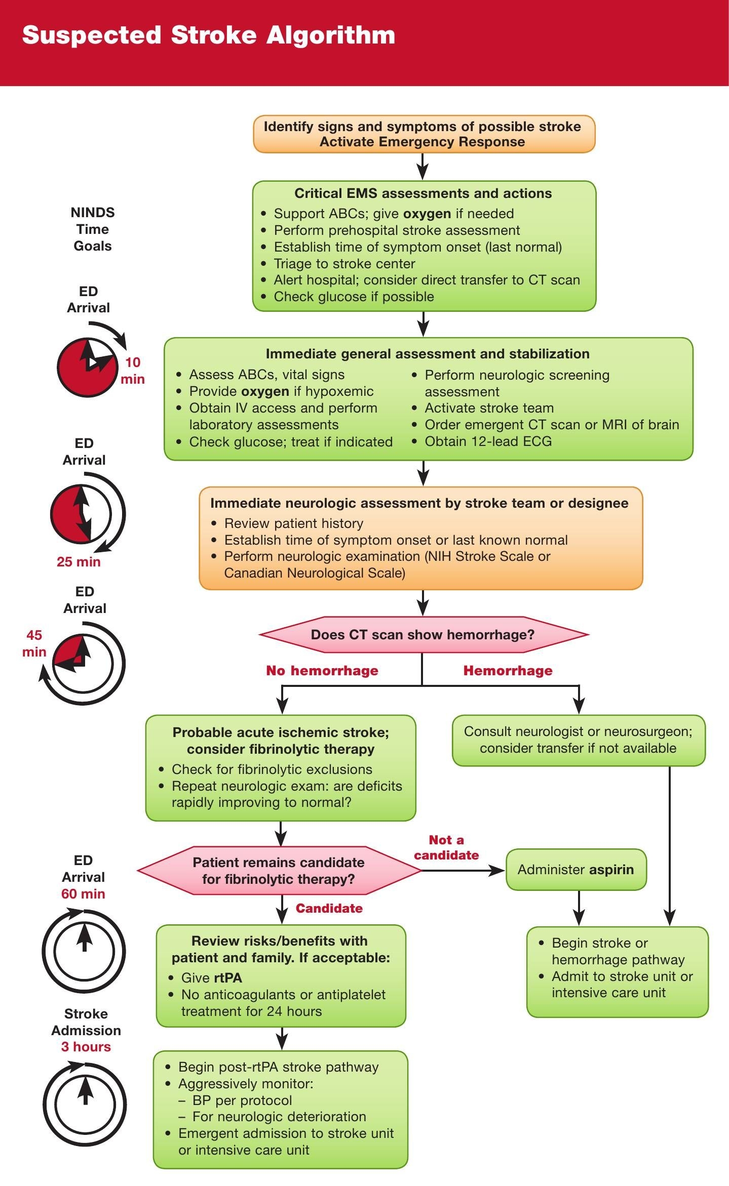 acls pocket card printable