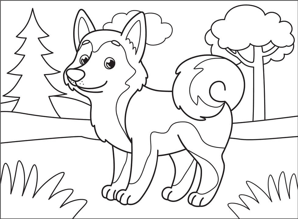 Adorable Husky Coloring Page Free Printable Coloring Pages For Kids