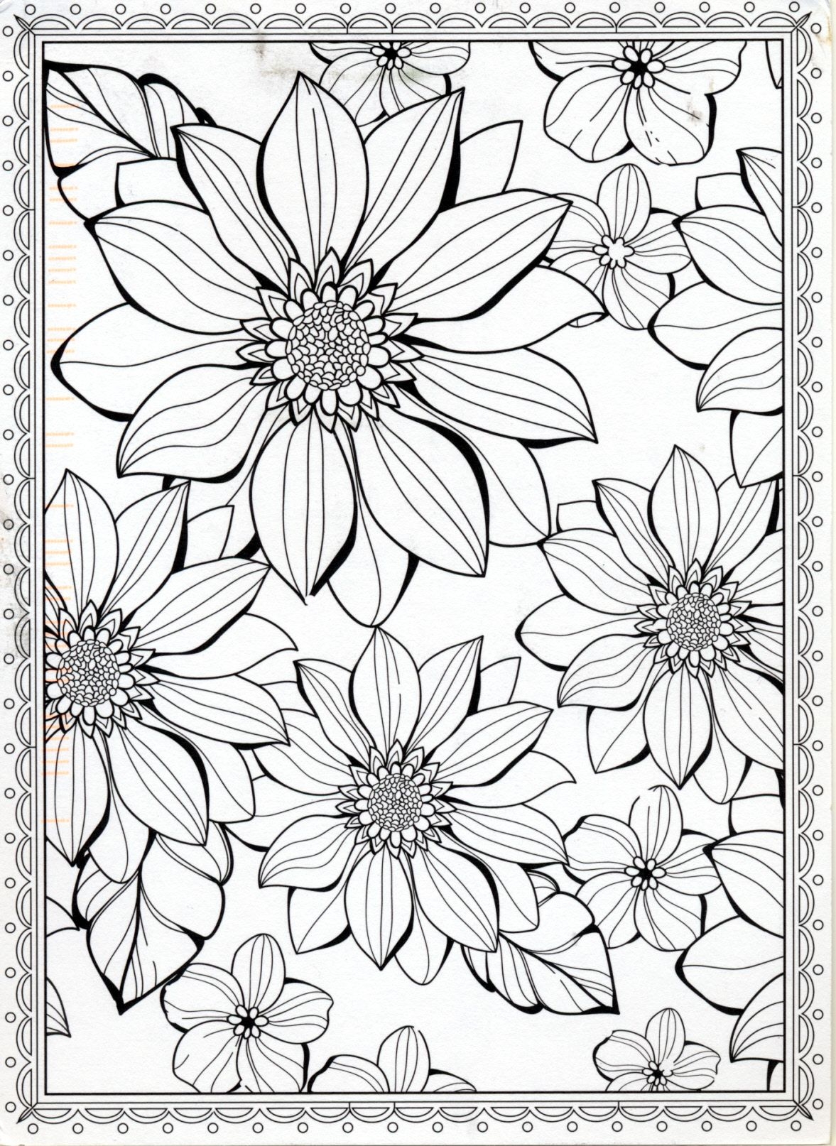 Adult Coloring Pages Flowers Istwest