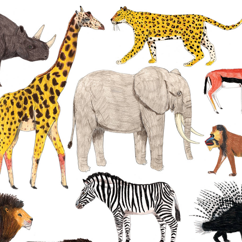 African Animals Printable African Animals Preschool P Vrogue co