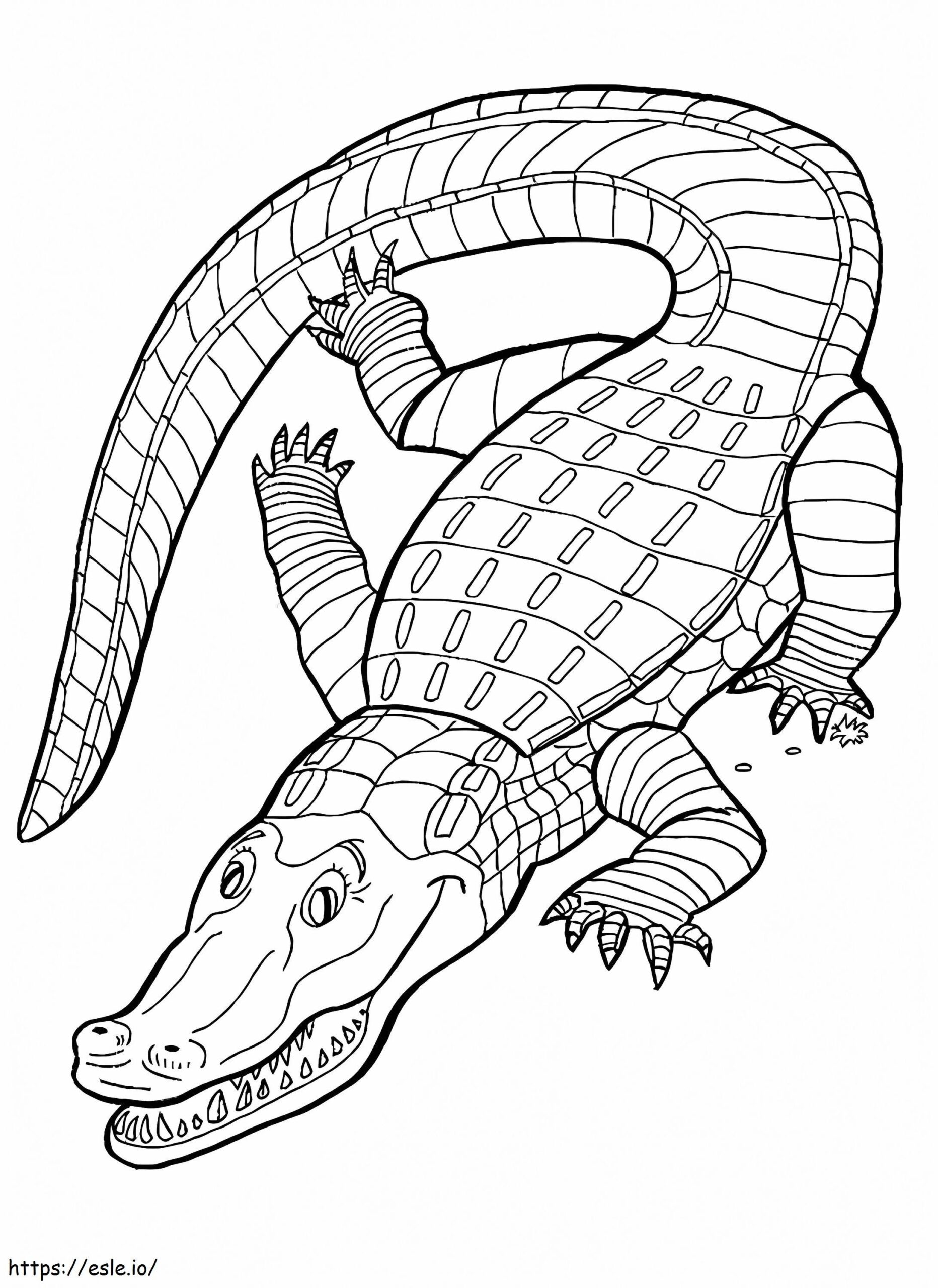 Alligator Free Printable Coloring Page