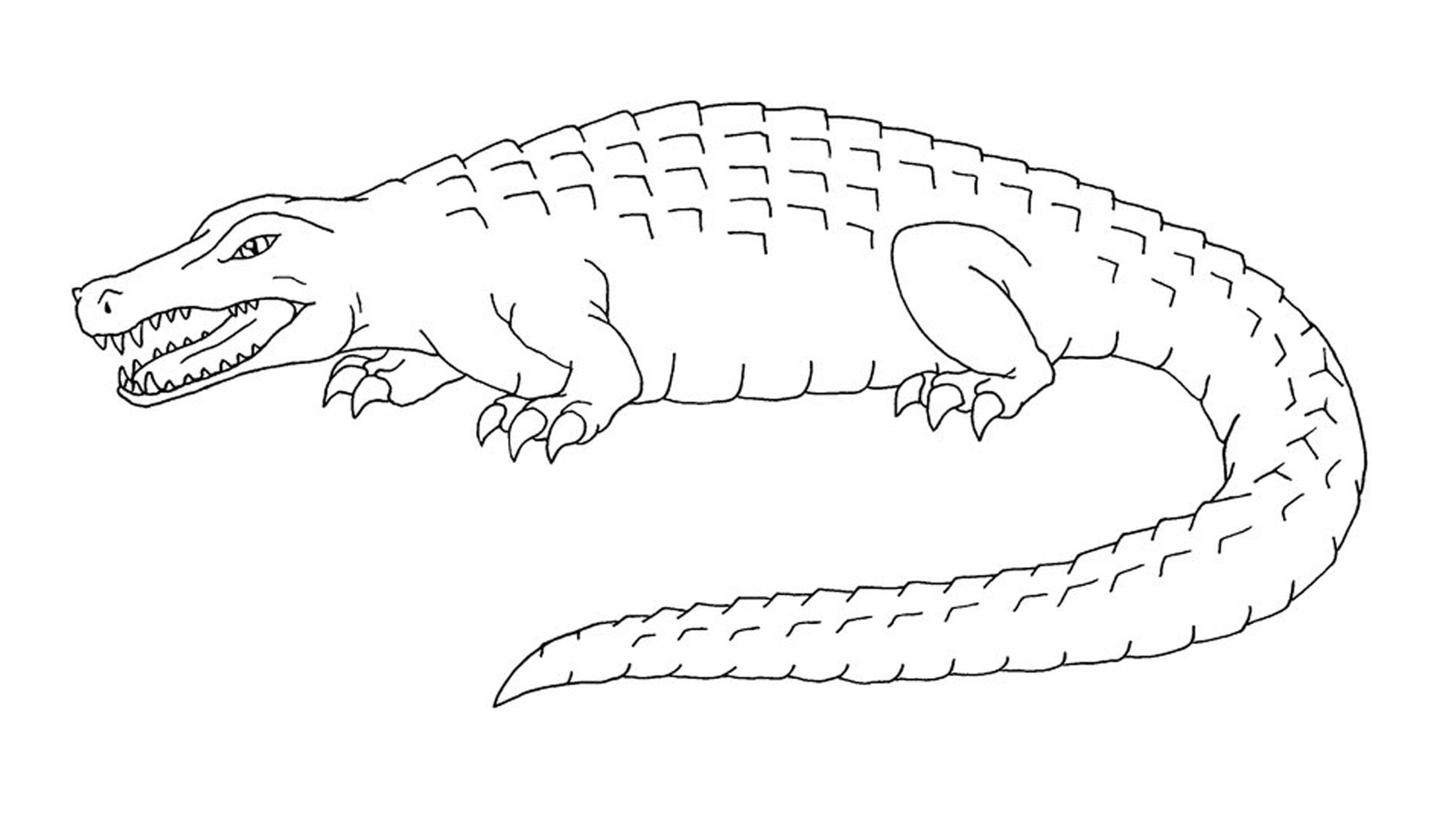 alligator free printable cards