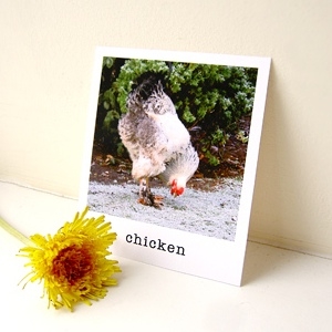 Alphabet Flash Cards Mr Printables