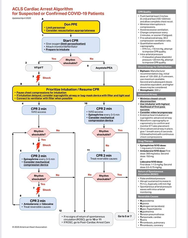 American Heart Association 2023 CPR Cheat Sheet 51 OFF