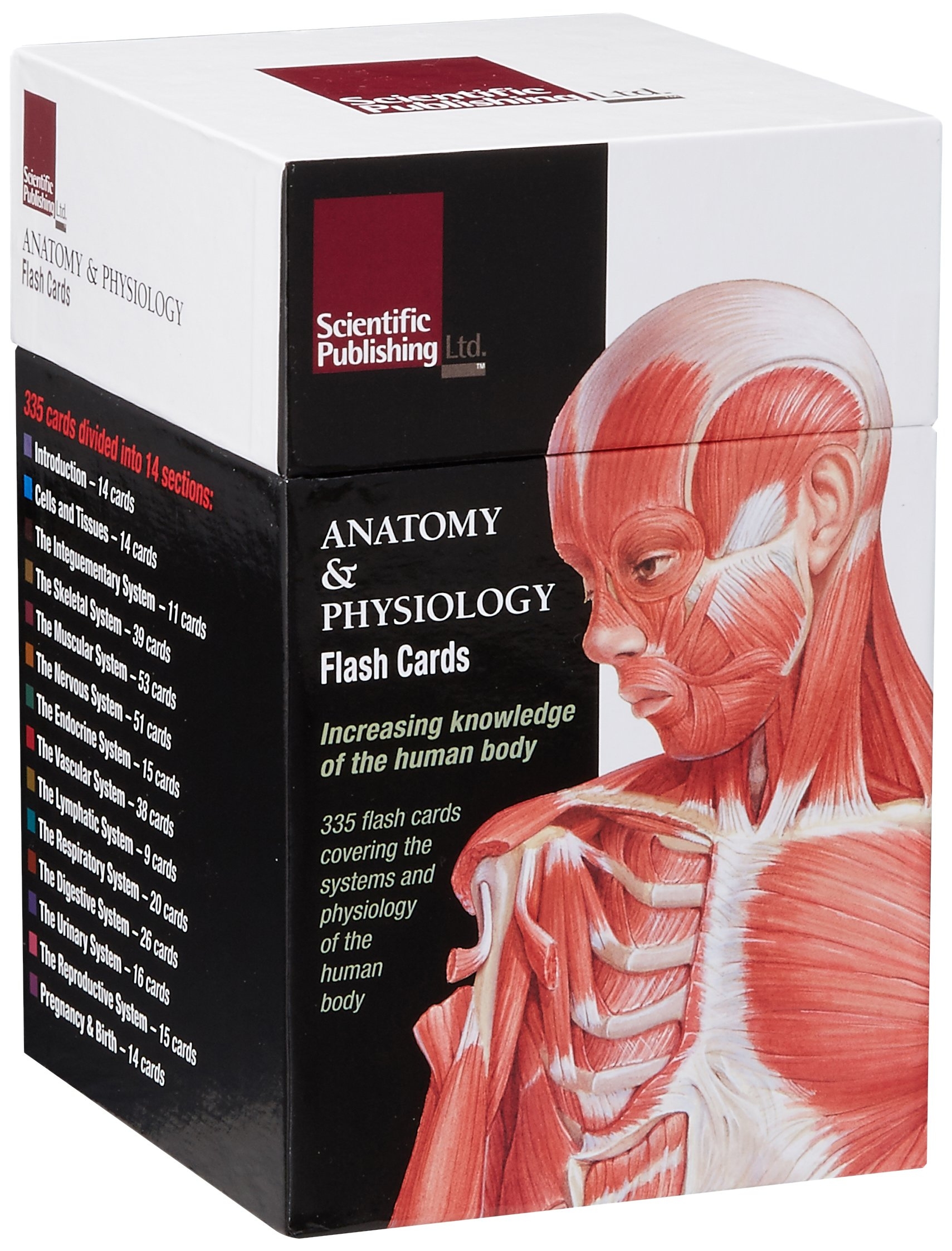 Anatomy And Physiology Printable Flash Cards Anatomy Worksheets