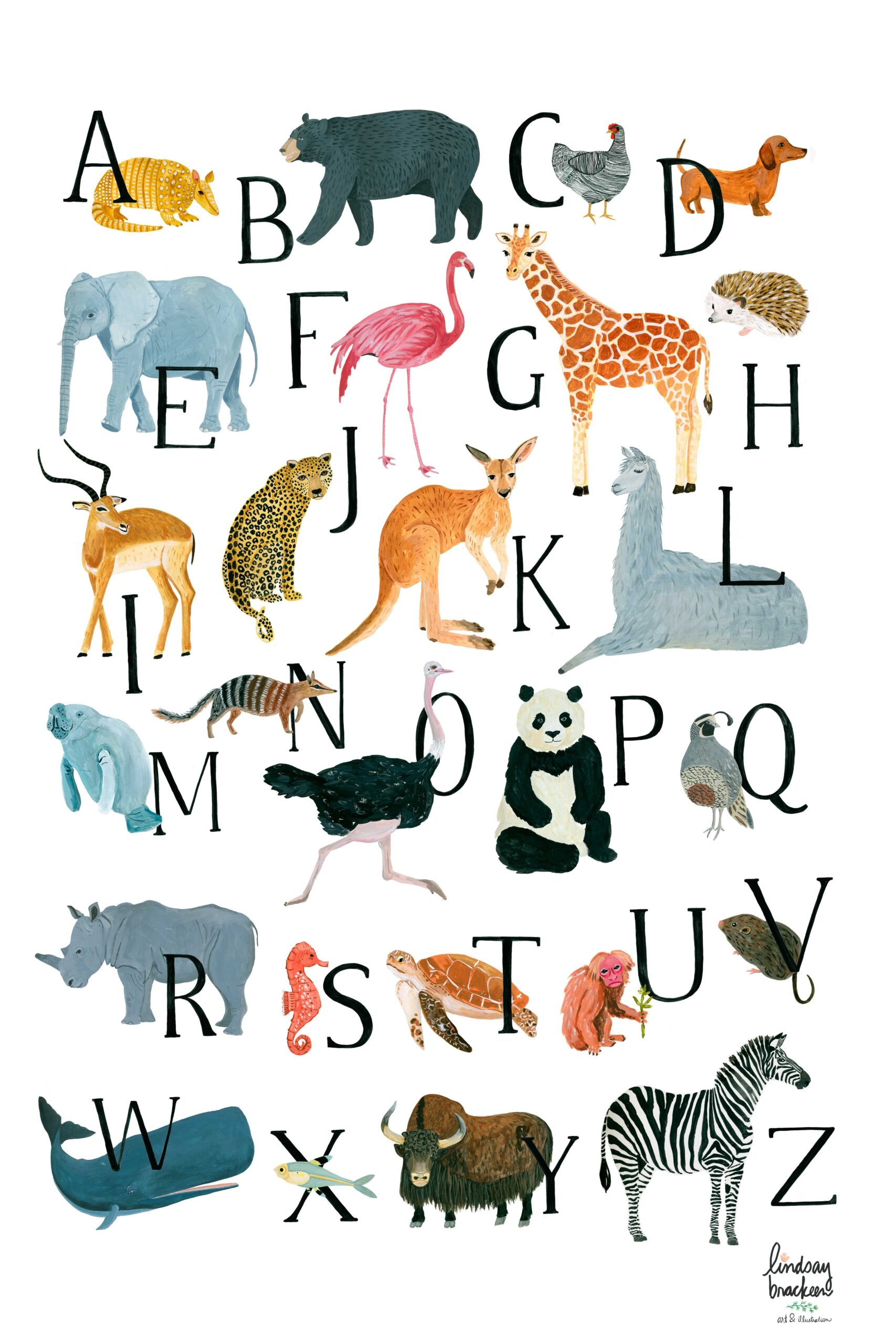 Animal Alphabet Abc Animal Alphabet Card Making Activ Vrogue co