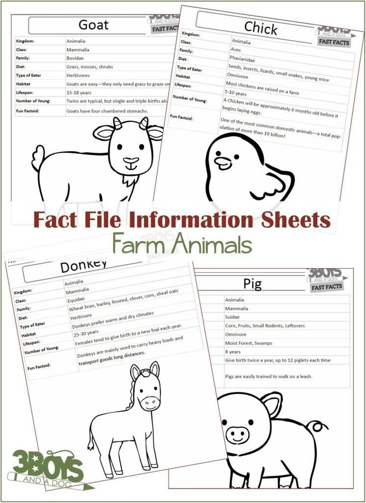 animal fact cards for kids printable