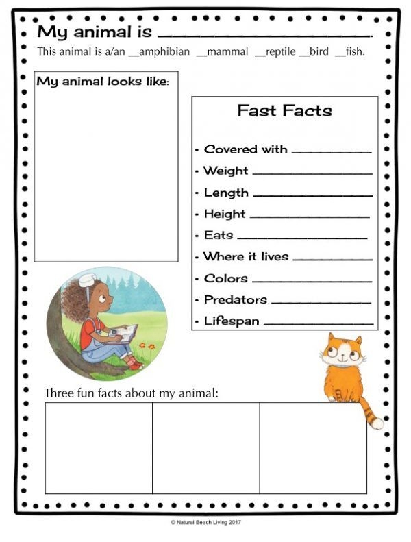 Animal Fact Sheets For Kids Printable Tedy Printable Activities