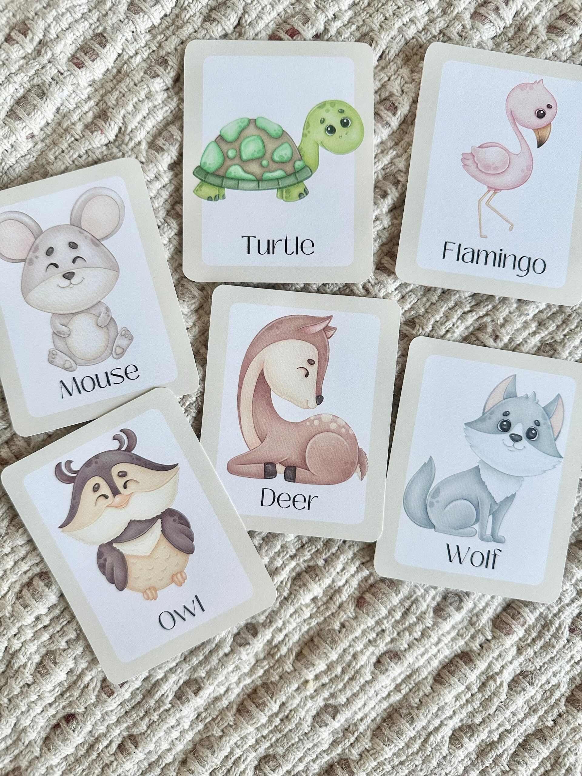 animal printable flash cards