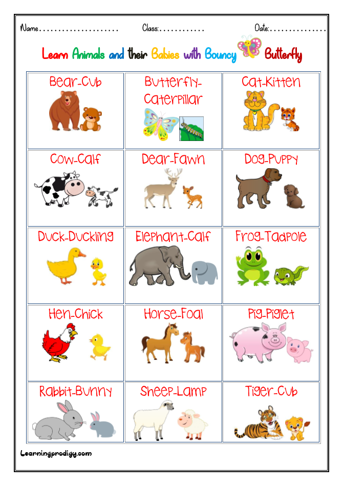 Animals And Babies Young Ones Chart With Pictures LearningProdigy 