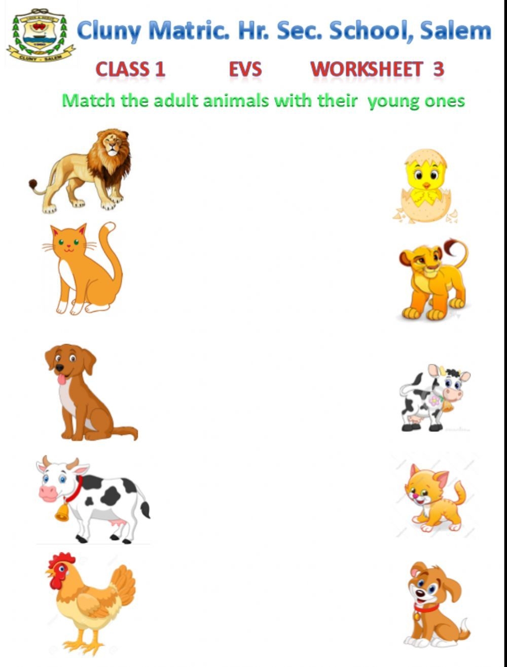 Animals And Their Young Ones Worksheet