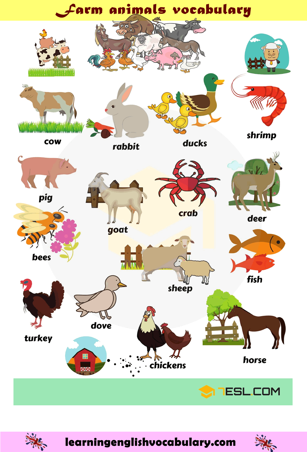 Animals List With Pictures Pdf