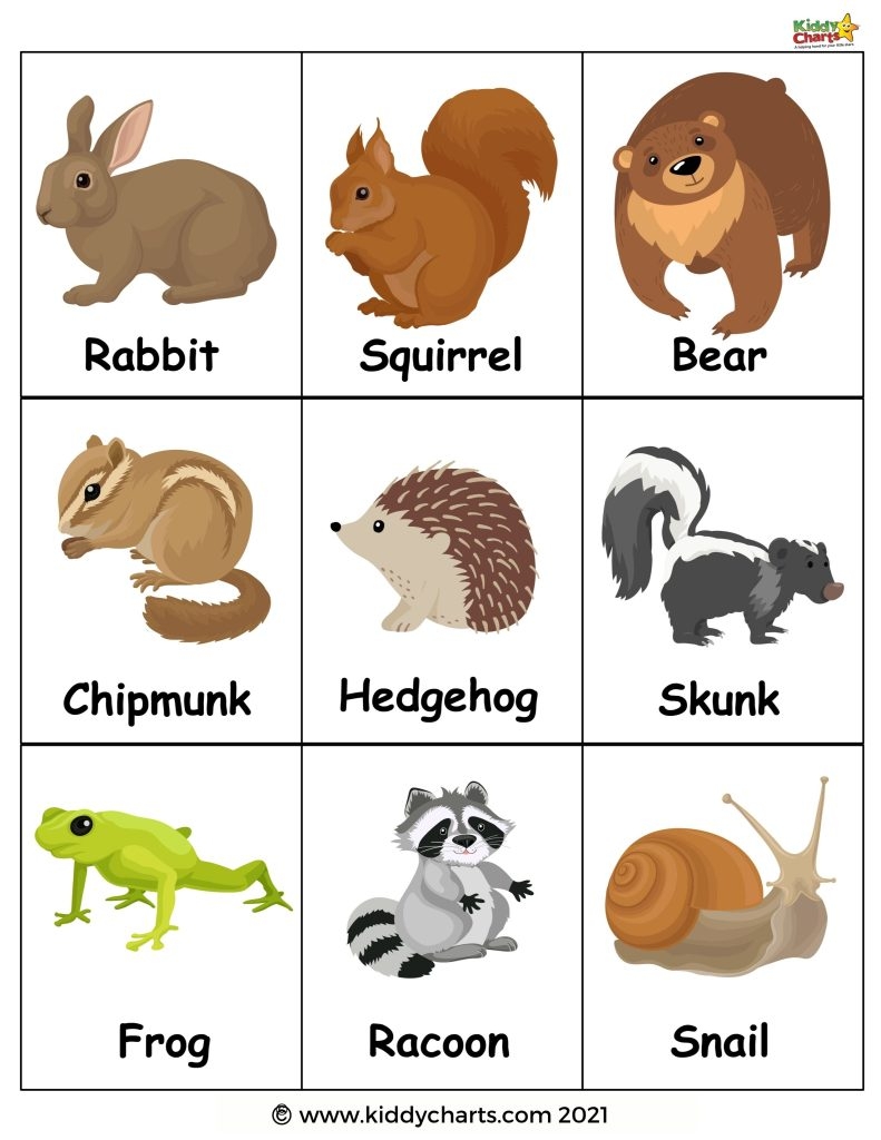 Animals That Hibernate Free Printables Templates Printable Free
