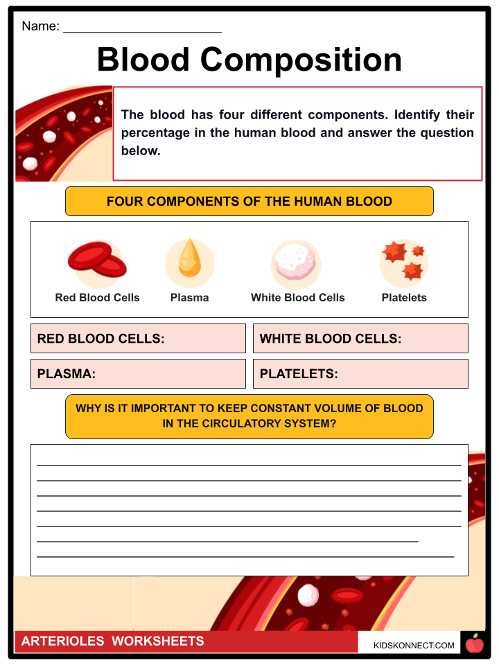 components of blood worksheet