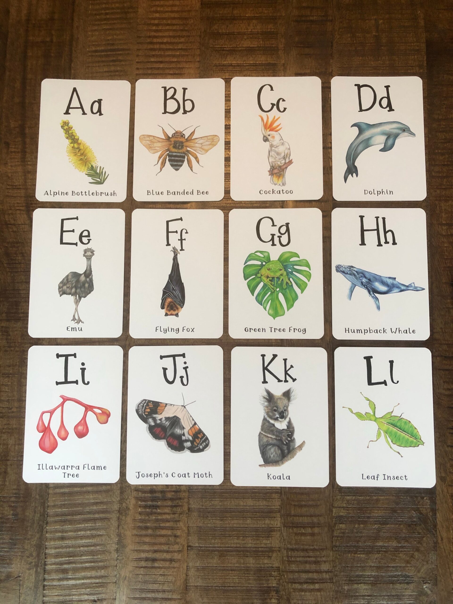 Australian Alphabet Flash Cards Little Dreamerz Co Worksheets Library