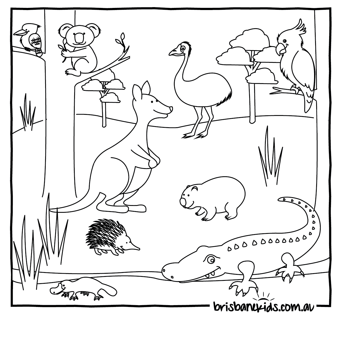 Australian Animals Colouring Pages Brisbane Kids Free Printable 