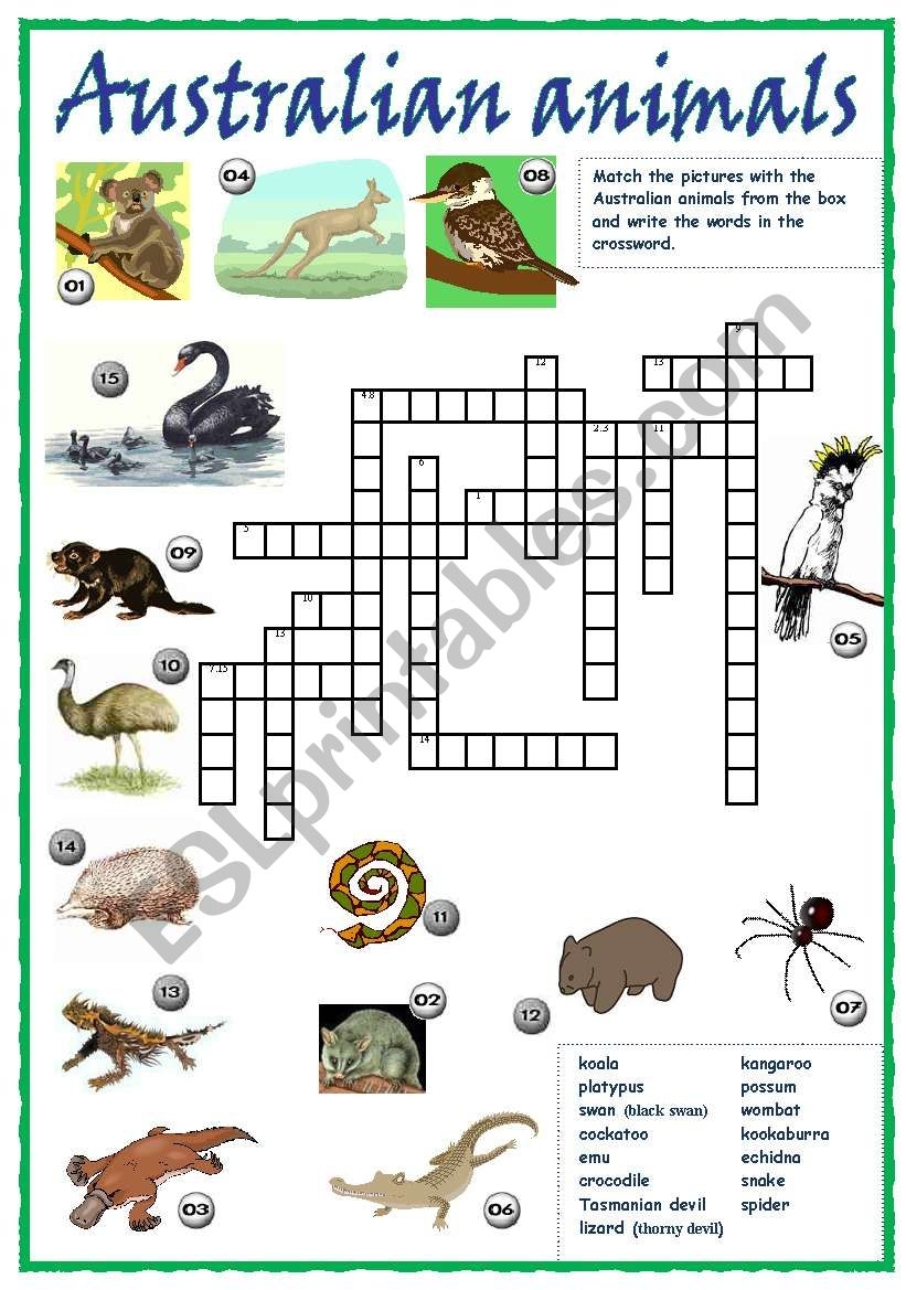 printable pictures of australian animals