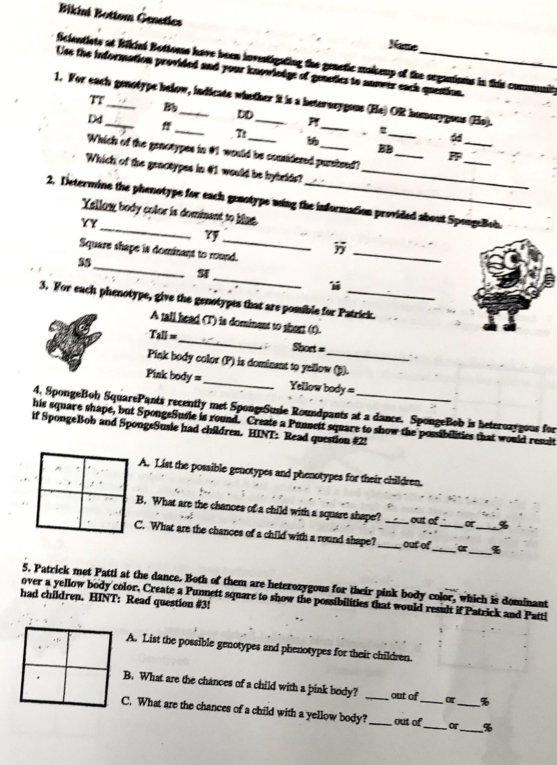 bikini bottom genetics worksheet