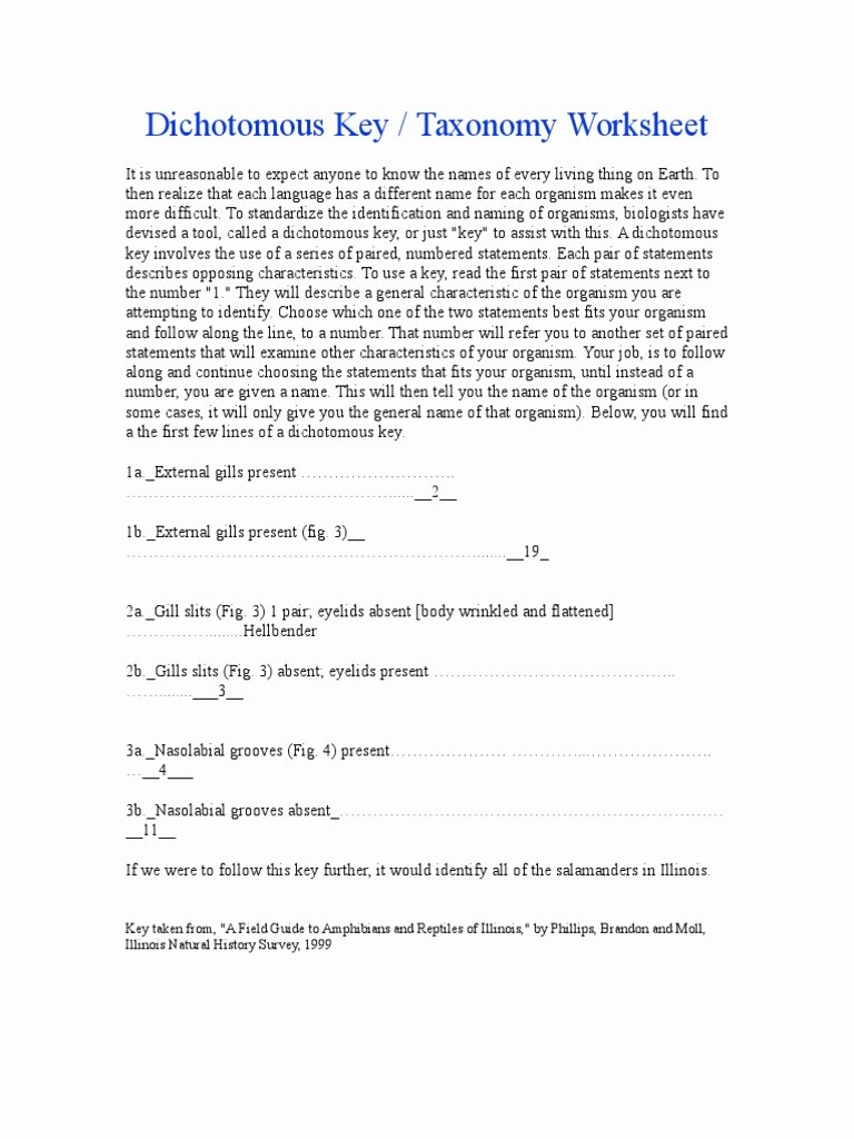 Biological Classification Worksheet Answers Unique Worksheet Taxonomy 