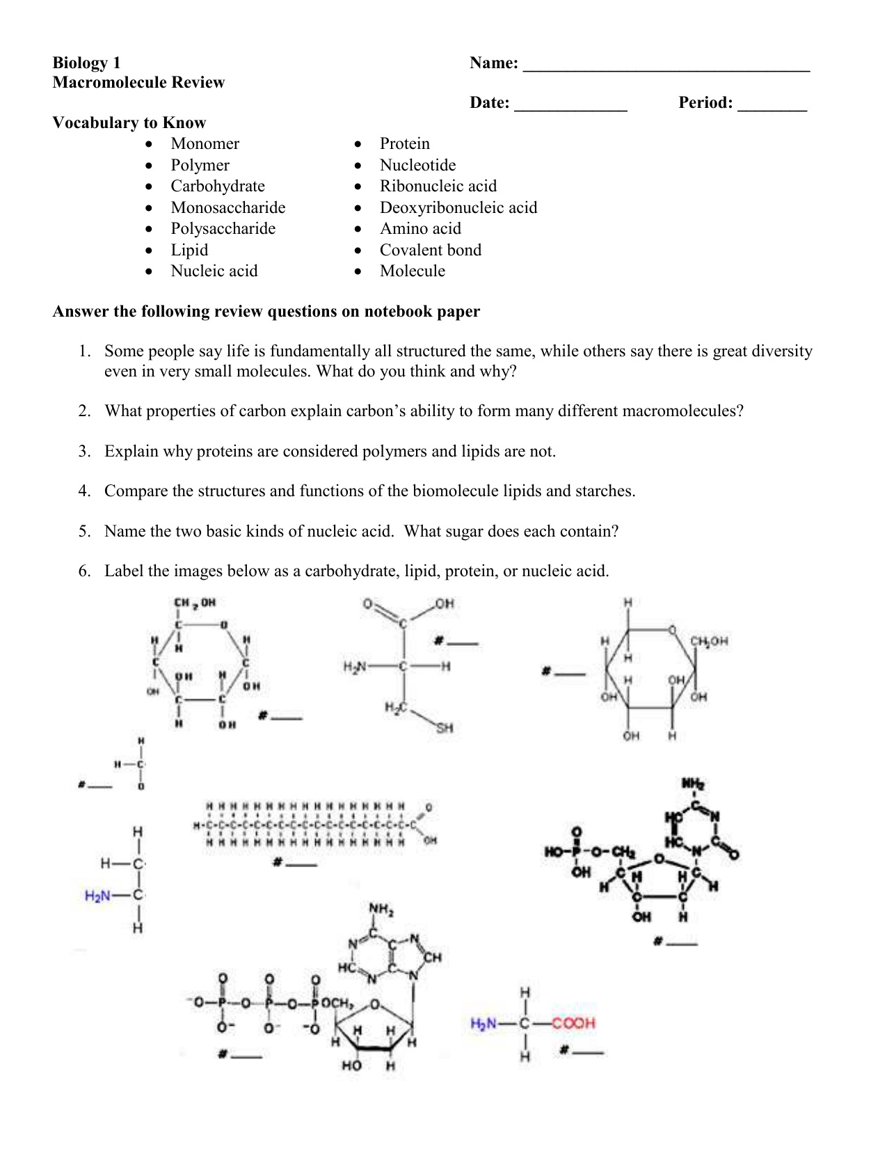 Biology Macromolecule Review Worksheet Db excel