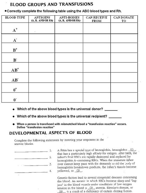 Biology Worksheets Key Blood Type And Inheritance Exercises 