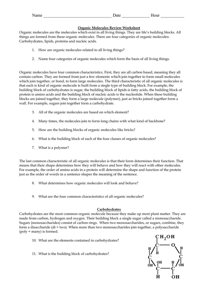 Biomolecule Review Worksheet Db excel