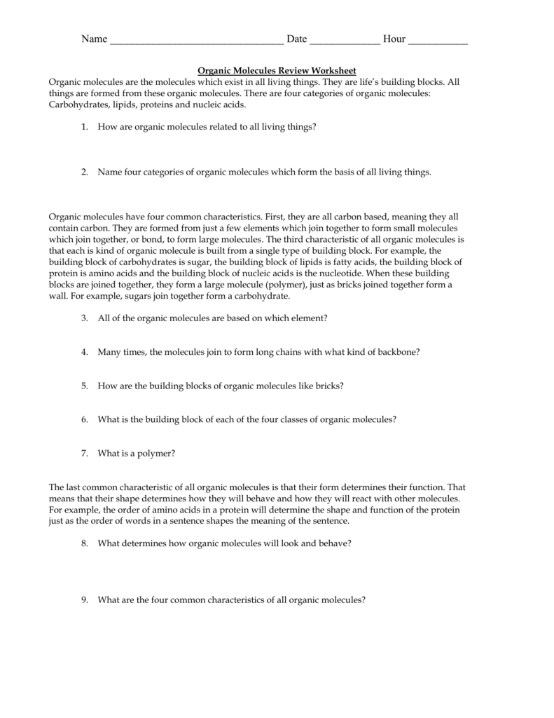 Biomolecule Review Worksheet Db excel