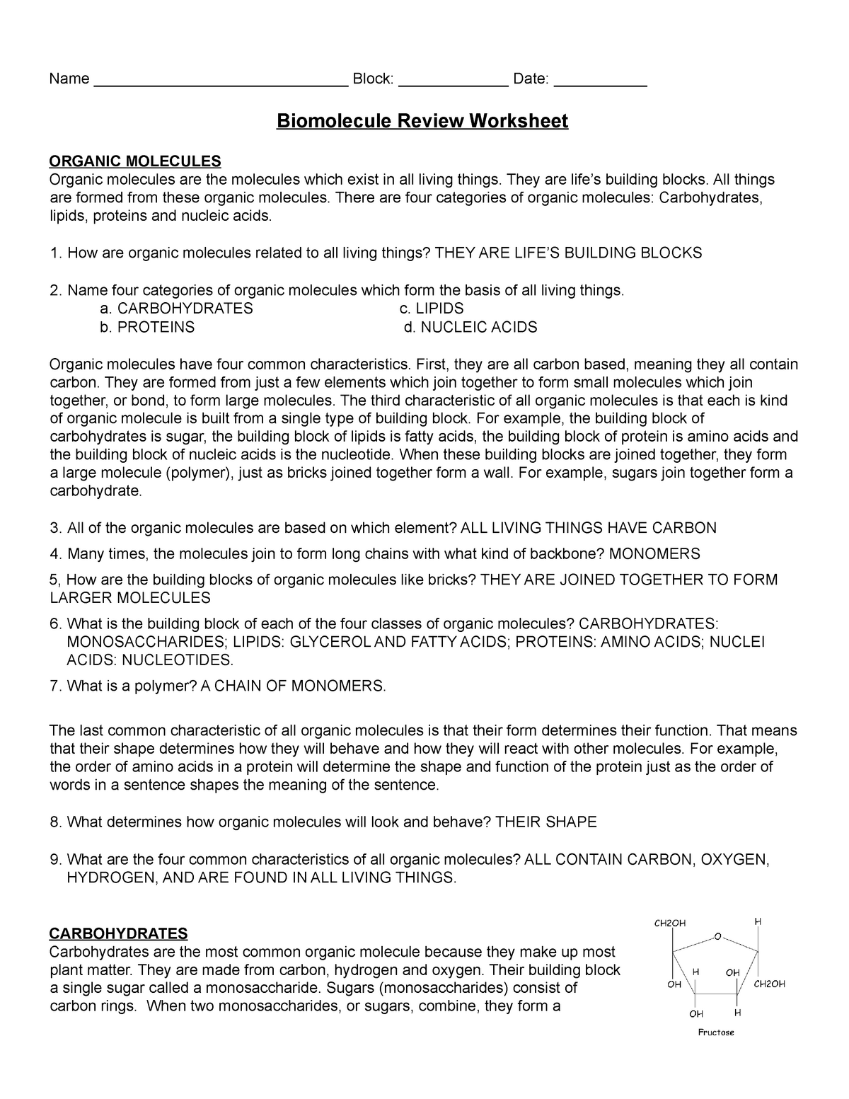biomolecule review worksheet