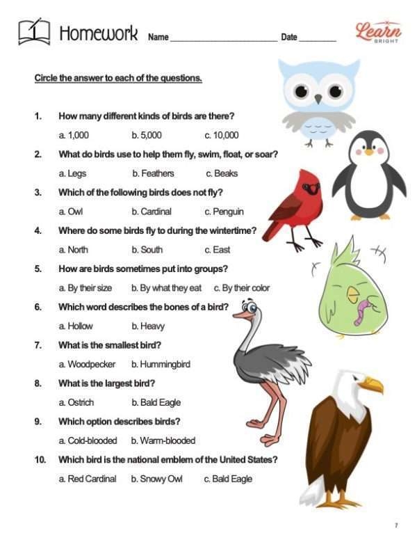 Birds Free PDF Download Learn Bright Worksheets Library