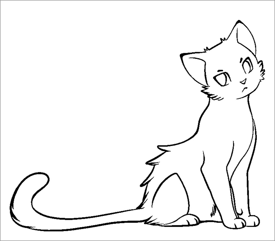 Black Cat Coloring Page ColoringBay