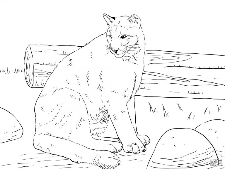 Black Panther Coloring Pages ColoringBay