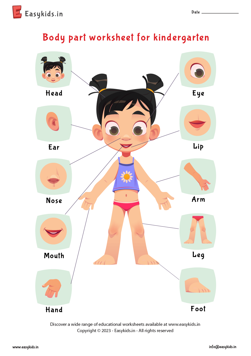 body parts worksheet for preschool
