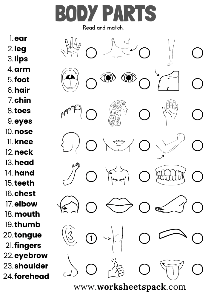 Body Parts Worksheets Worksheetspack Worksheets Library