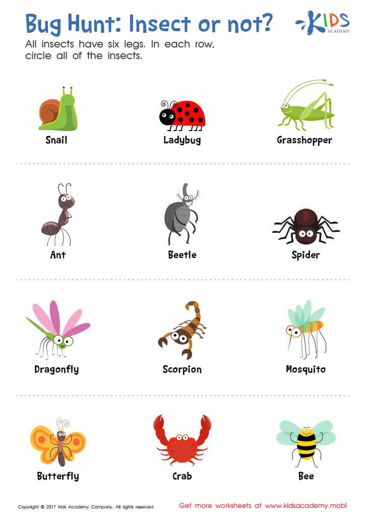 Bug Worksheets For Kindergarten Worksheets For Kindergarten