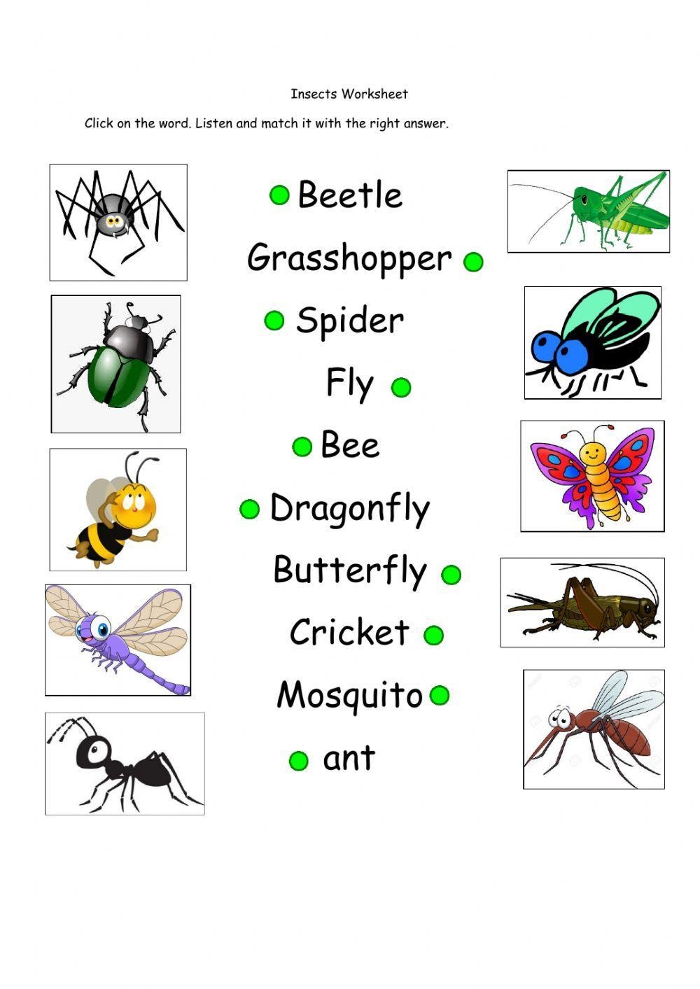 Bugs Vocabulary Worksheet Worksheet Live Worksheets Worksheets Library