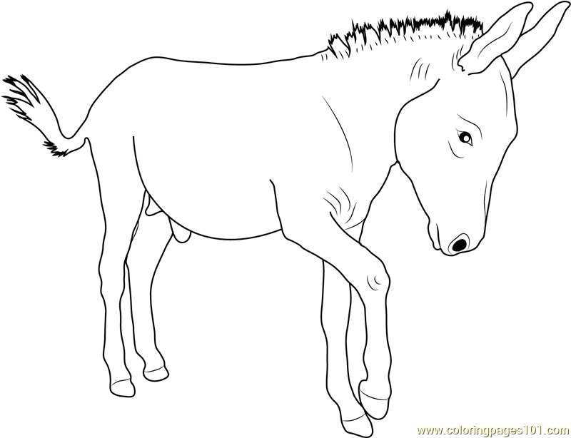 Cartoon Donkey Coloring Page