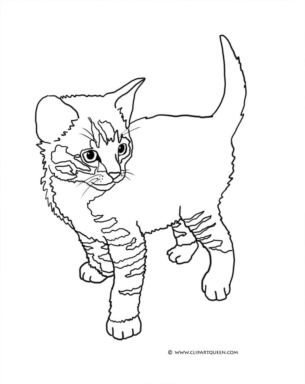 free coloring cat pages